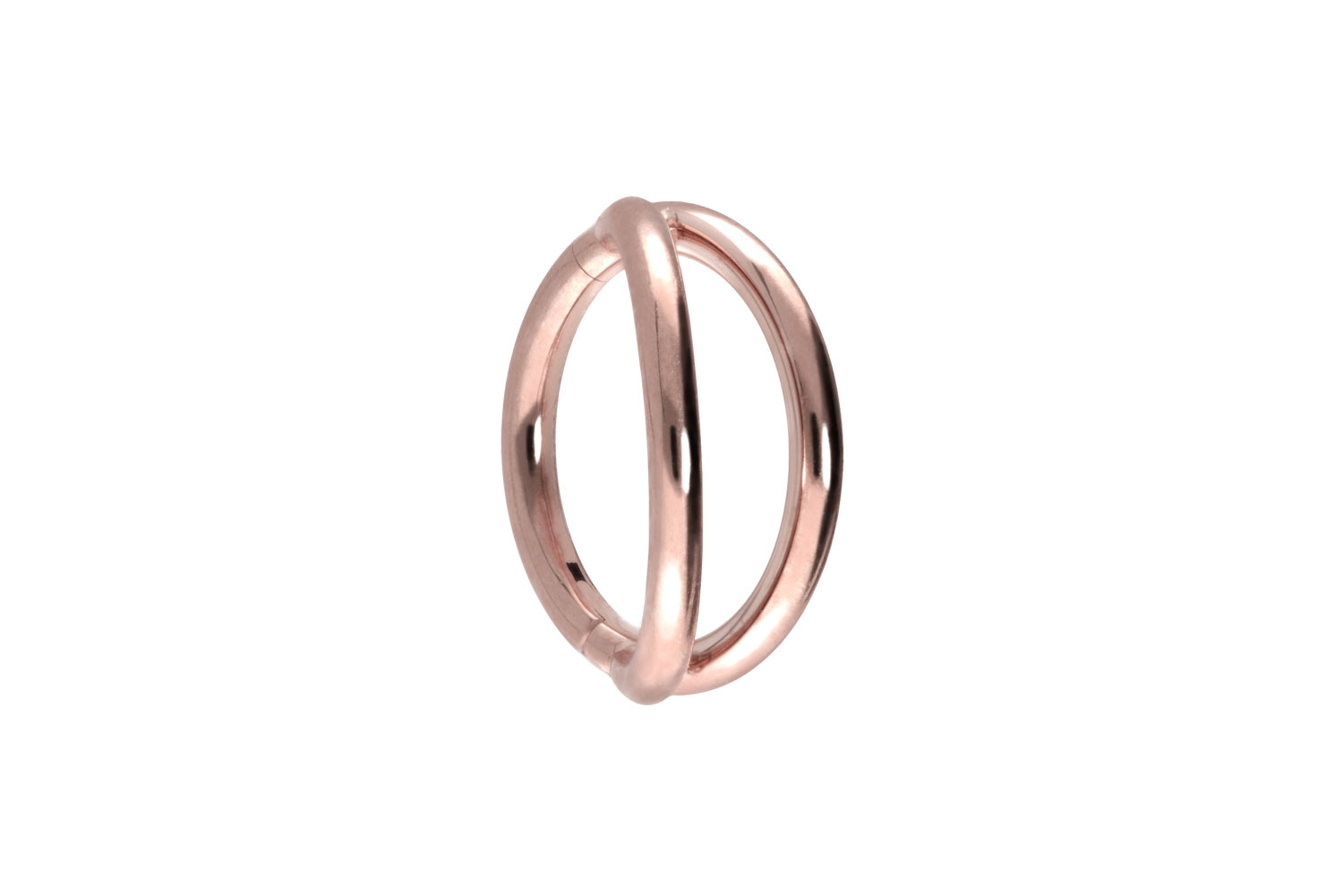 Titan Segmentring Clicker Piercing 2 RINGE